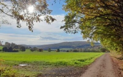 Herbst im Westerwald
