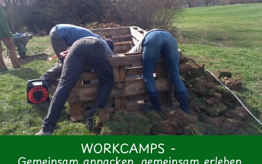 Workcamp Frühling