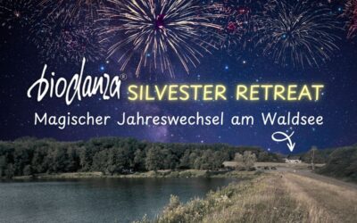 Silvester feiern am Waldsee